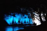 DSC_0550_thum.jpg
