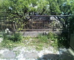 P1000098.jpg