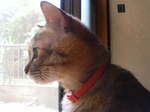 image/imprezza-2006-06-28T12:10:48-1.jpg