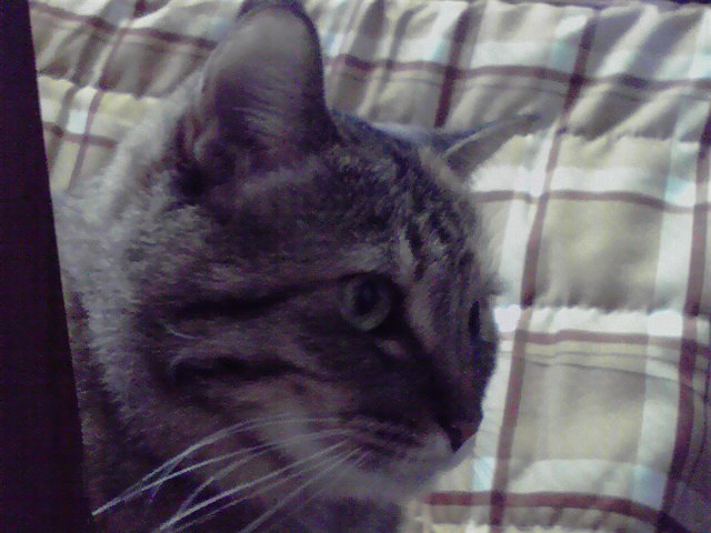 P1000499.jpg