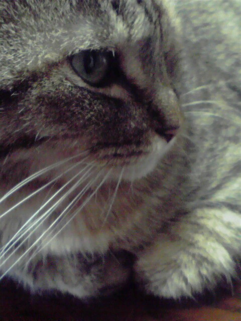 2011021615280000.jpg